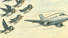 Banc: Un stol de rândunici spre țările calde