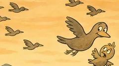 Banc: Un stol de păsări zboară spre sud